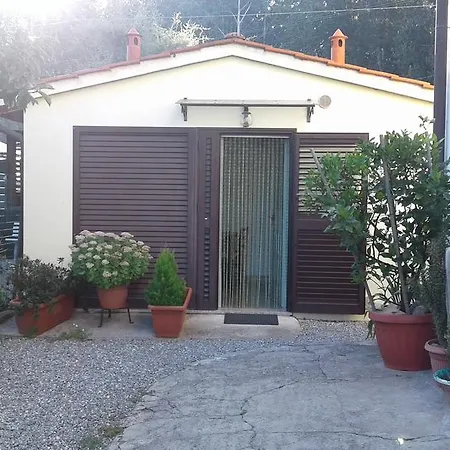 Da Lilly Apartment Lucca Exterior foto