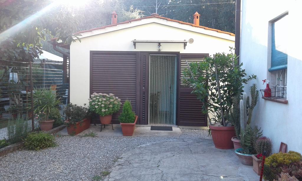 Apartment Da Lilly Lucca